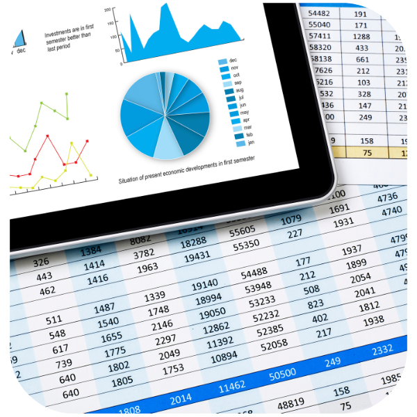 electric-audit-process